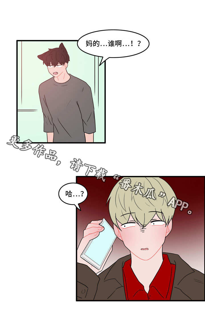 人形玩偶定制模板漫画,第43章：住手2图