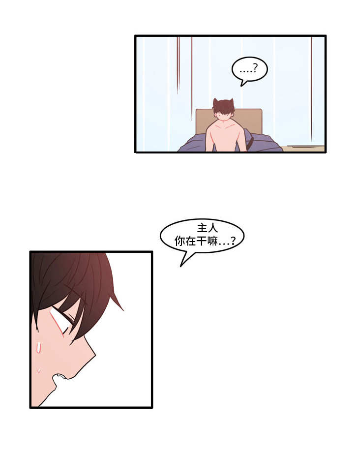 人形玩偶免费观看漫画,第28章：冰释前嫌1图