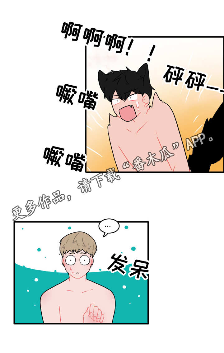 人形玩偶免费观看漫画,第53章：计划1图