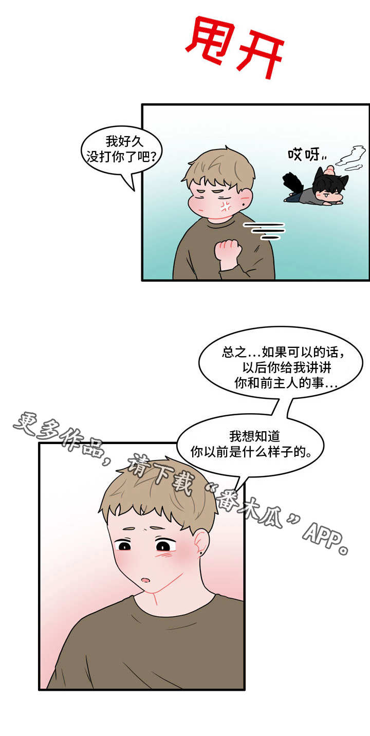 人形玩偶定制模板漫画,第43章：住手2图
