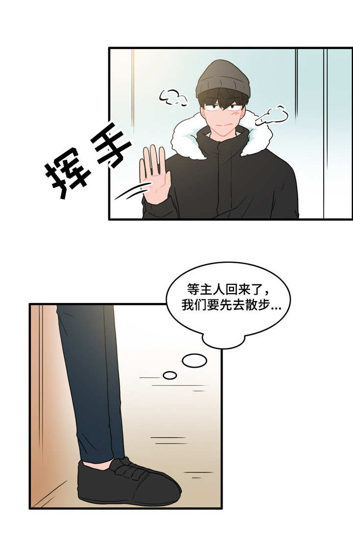人形玩偶和毛绒玩具是一回事吗漫画,第54章：又遇见了1图