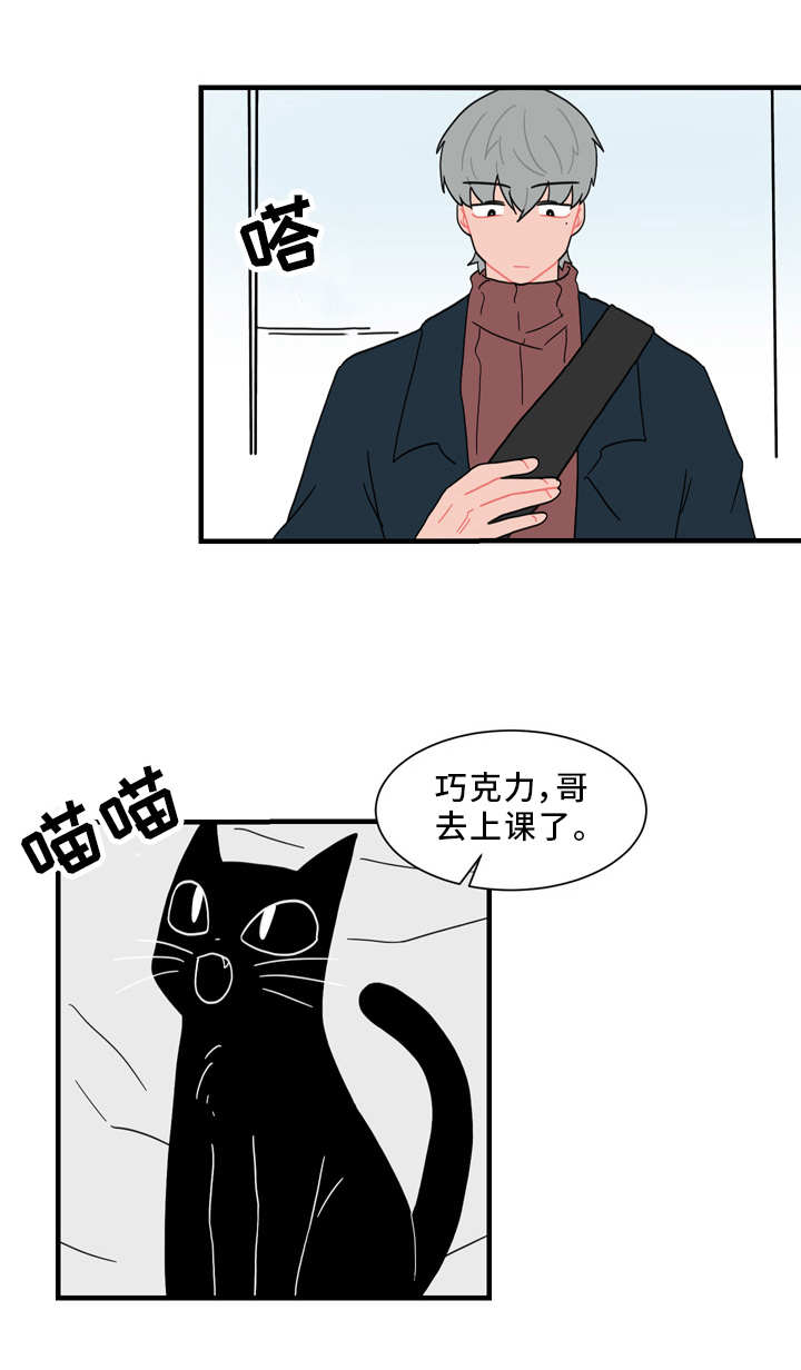 人形玩偶定制模板漫画,第56章：真相1图