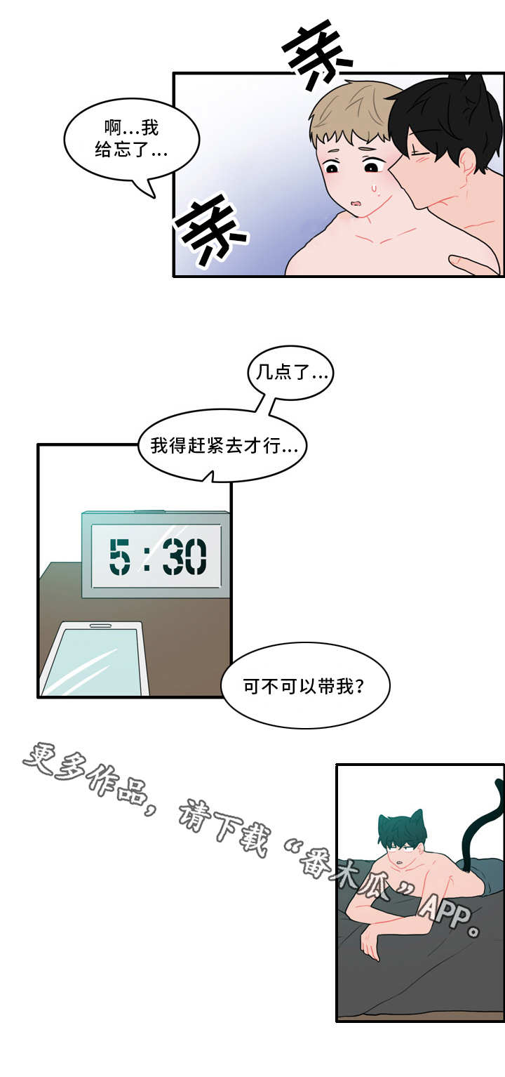 人形玩偶免费观看漫画,第54章：又遇见了2图