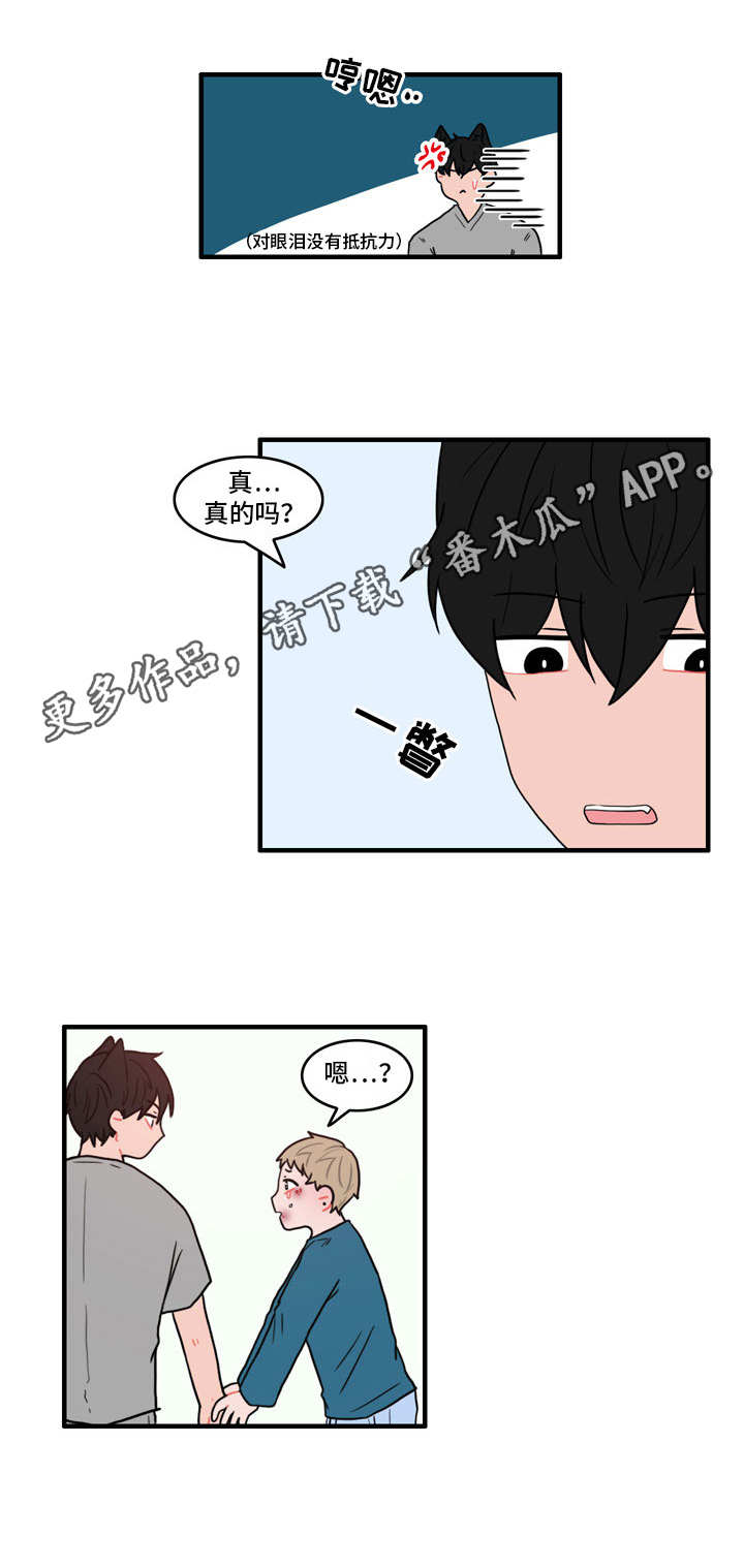 人形玩偶定制模板漫画,第28章：冰释前嫌2图