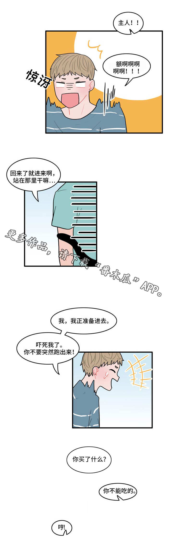 人形玩偶定制模板漫画,第11章：野营1图