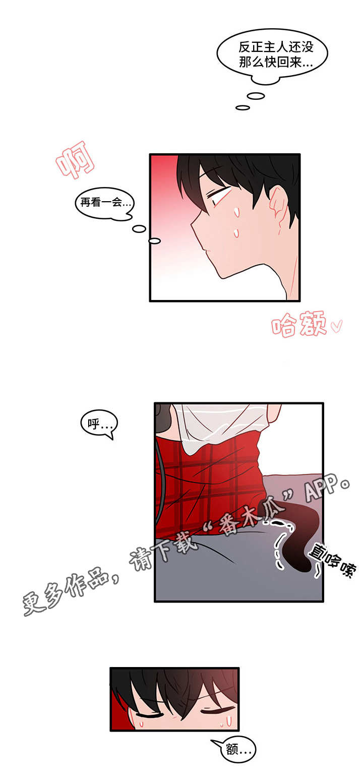 人形玩偶定制模板漫画,第16章：疑心2图