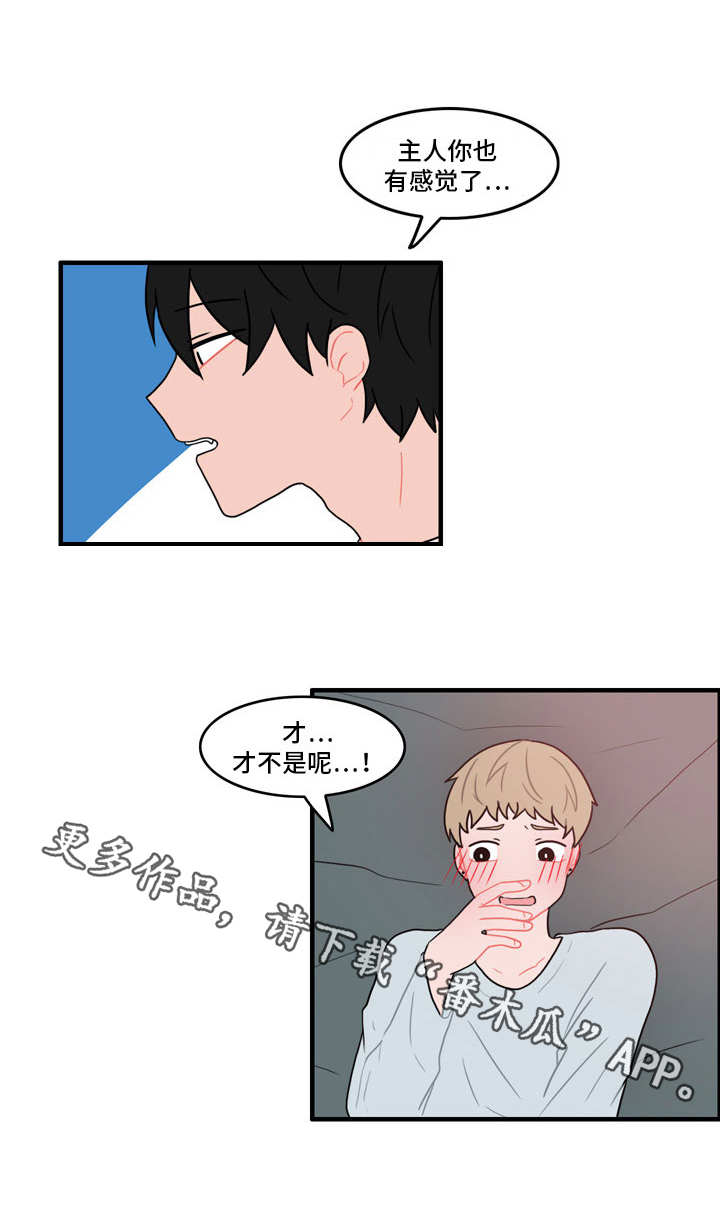 人形玩偶定制模板漫画,第38章：新玩法1图