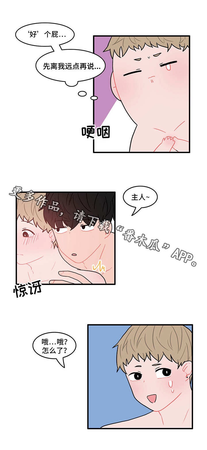 人形玩偶定制模板漫画,第17章：一起洗1图