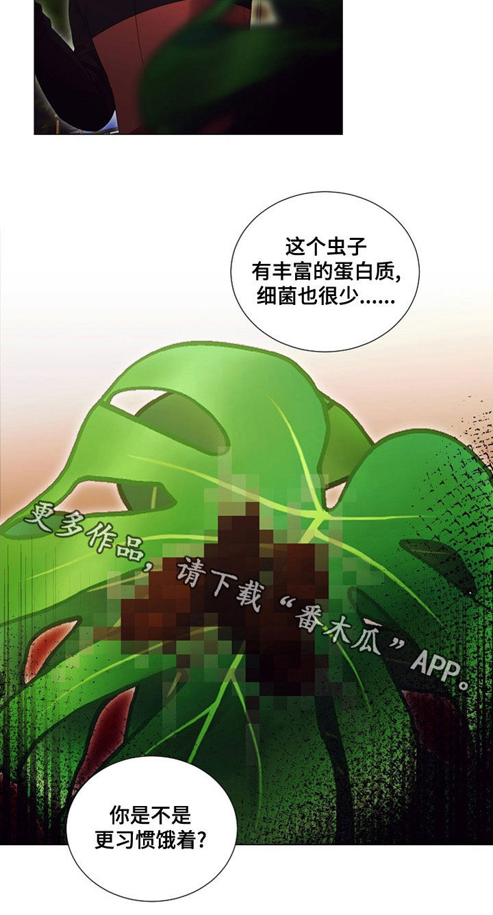 完美契合漫画,第85章：虫子1图