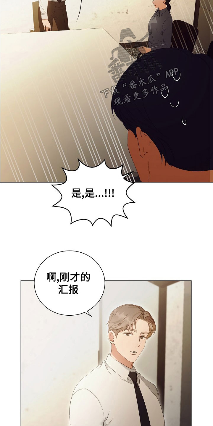 完美世界剧情165漫画,第81章：欢喜1图