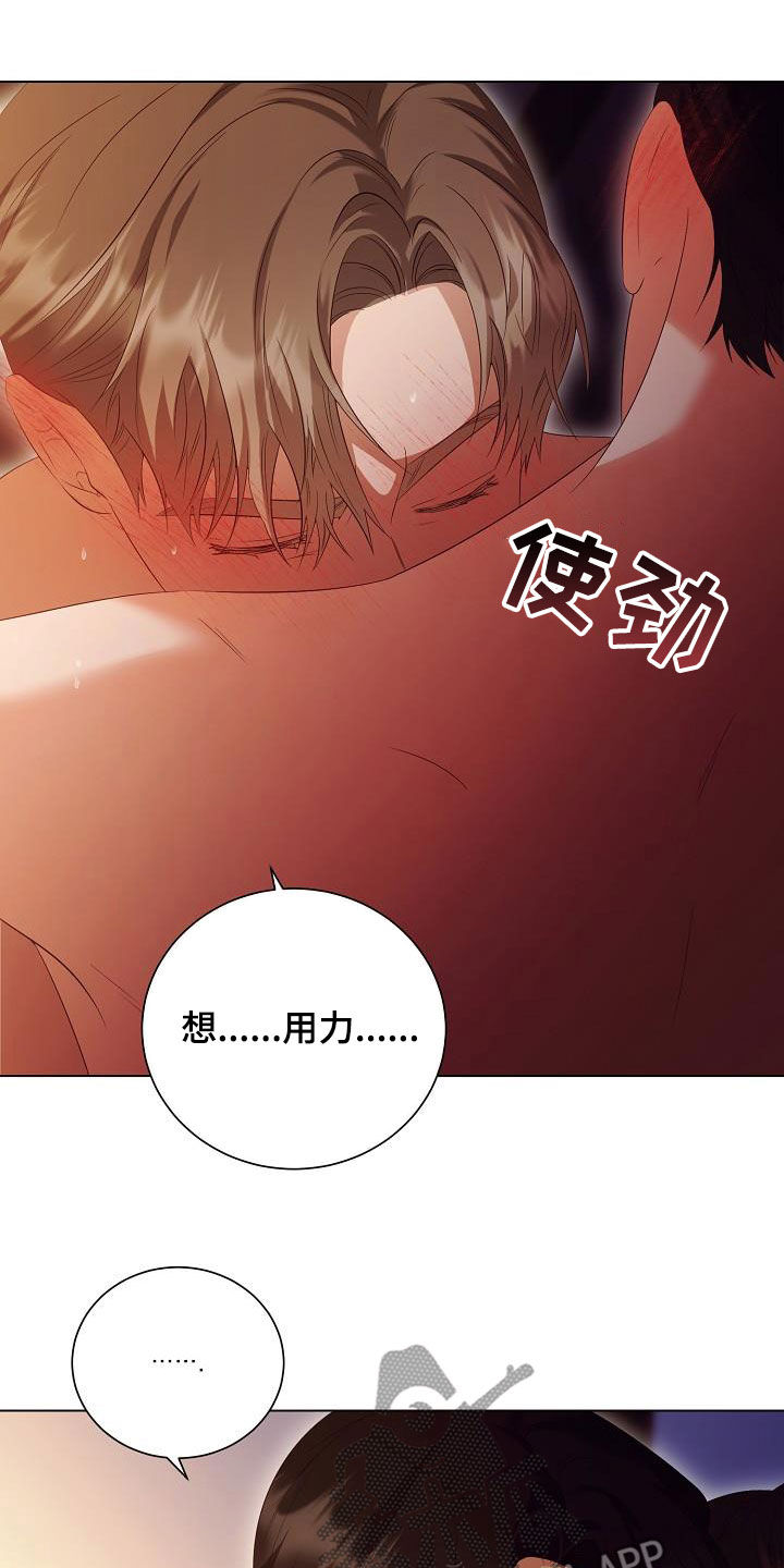 完美契合小说免费观看漫画,第69章：对不起1图