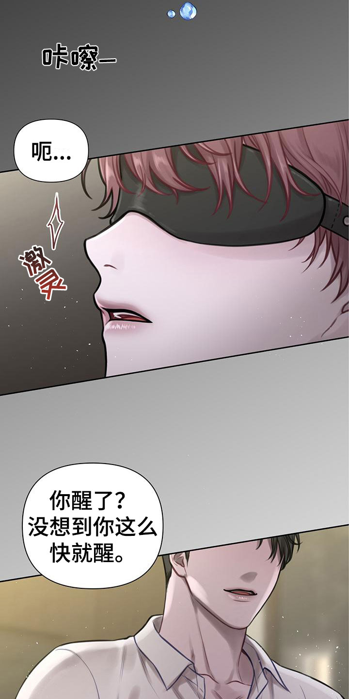 霸总的神秘教学漫画免费阅读漫画,第3章：最棒的梦2图