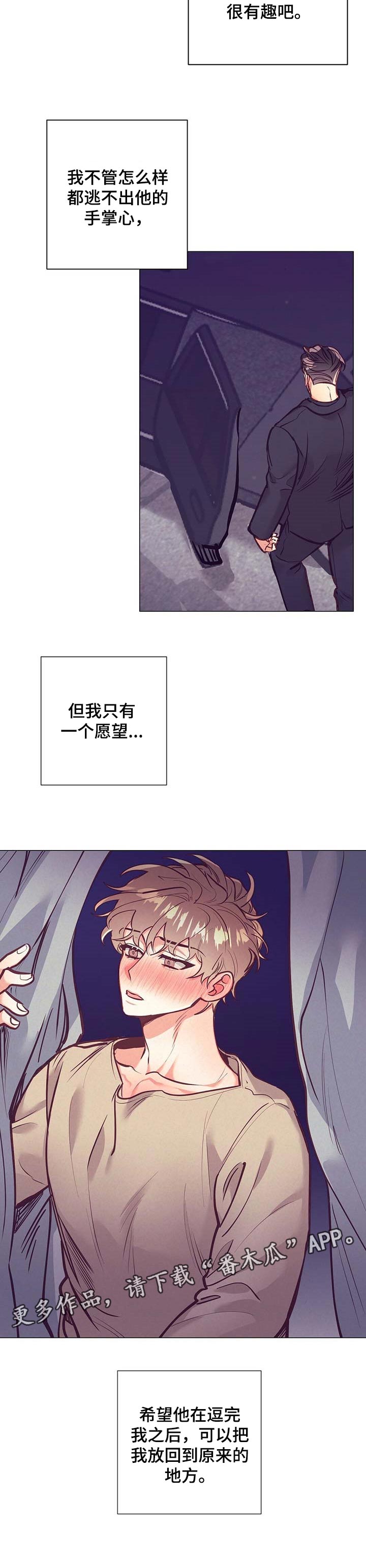 不该说的不说不该问的不问壁纸漫画,第27章：愿望2图