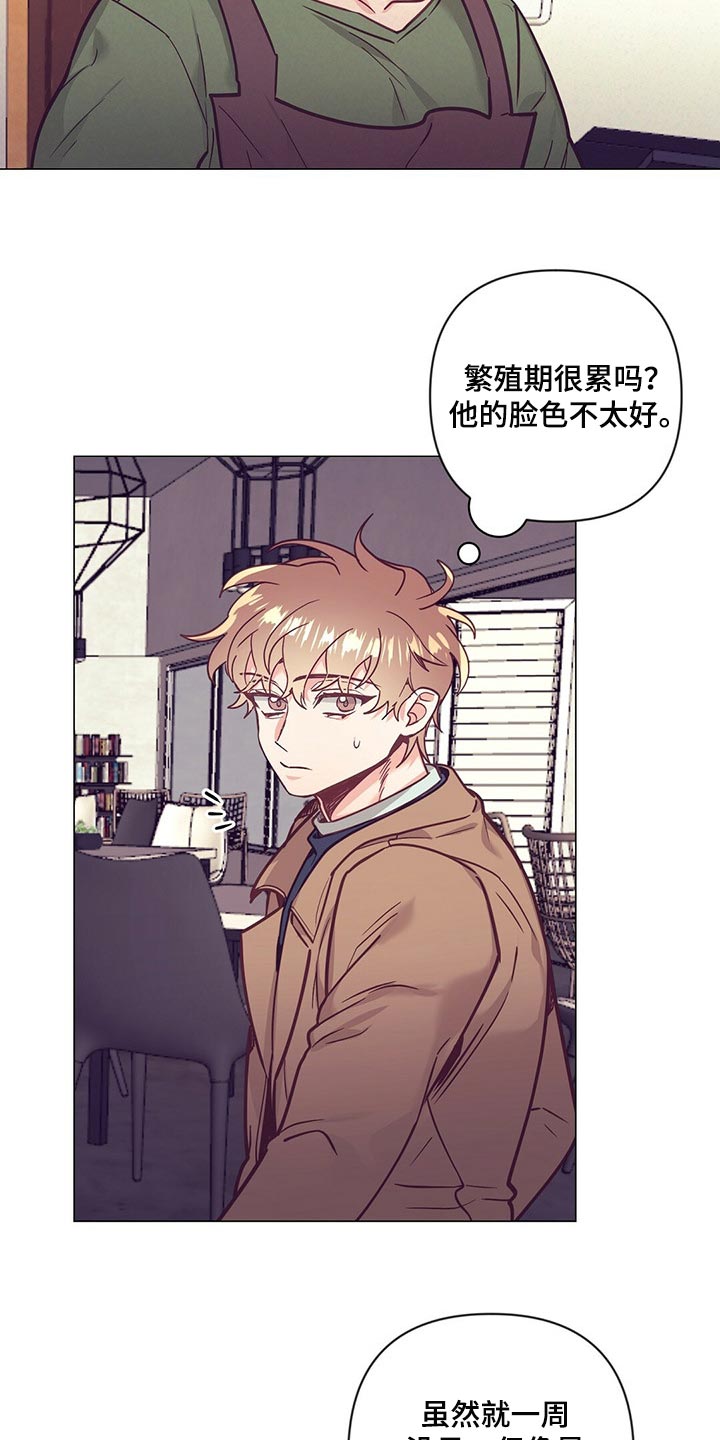 不该说的谎言漫画全集免费漫画,第54章：心生期待1图