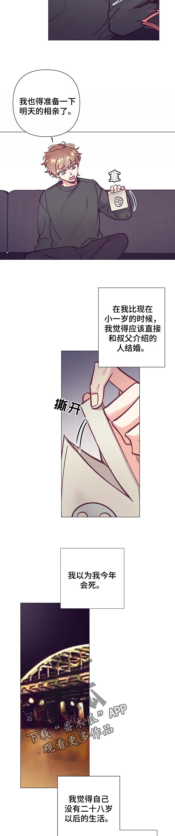 不该说的谎言漫画全集免费漫画,第28章：正确的选择2图