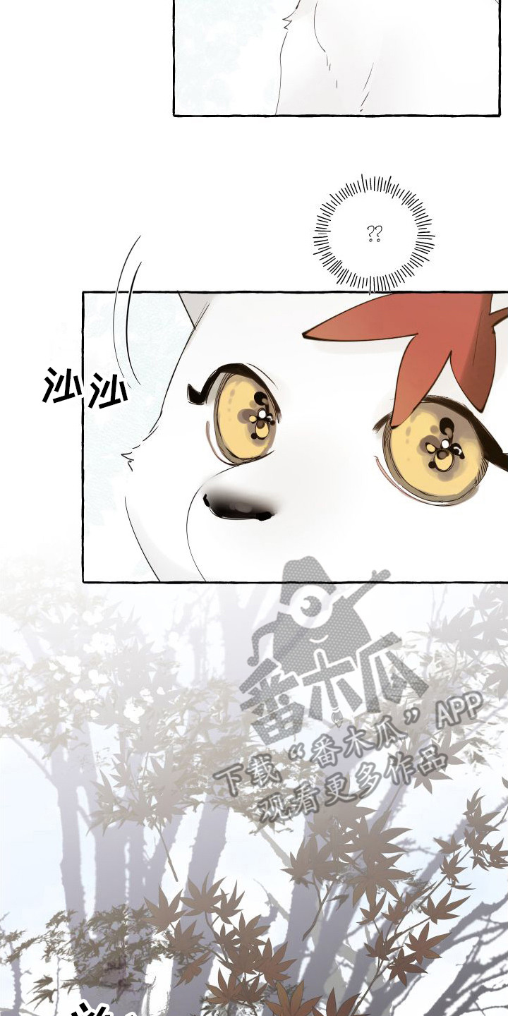 春与冬的边界漫画,第14章：绒球2图