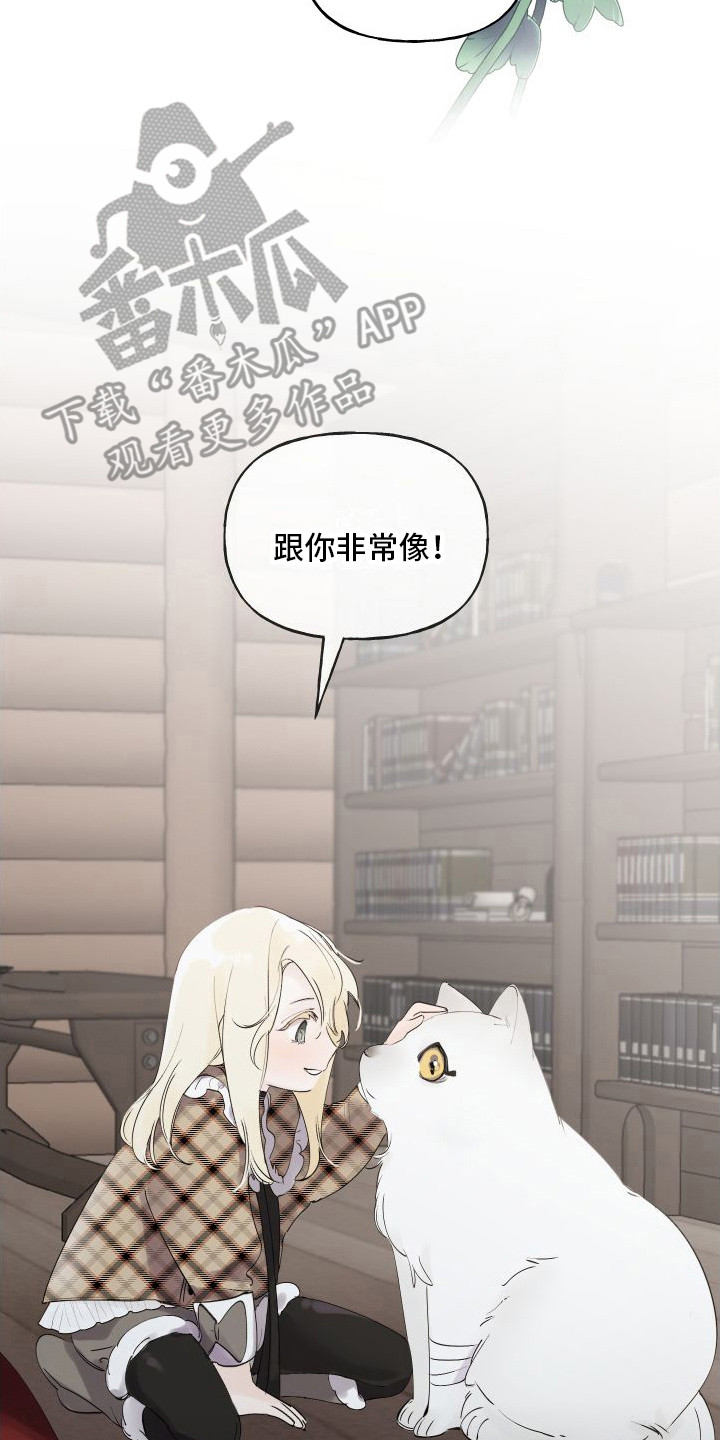 春与冬的边界拷贝漫画,第14章：绒球2图