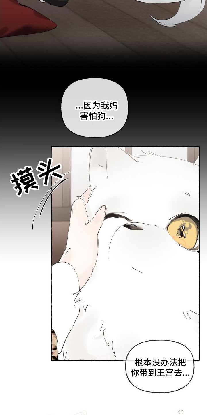 冬天与春天的界限是瓦解读后感漫画,第14章：绒球1图