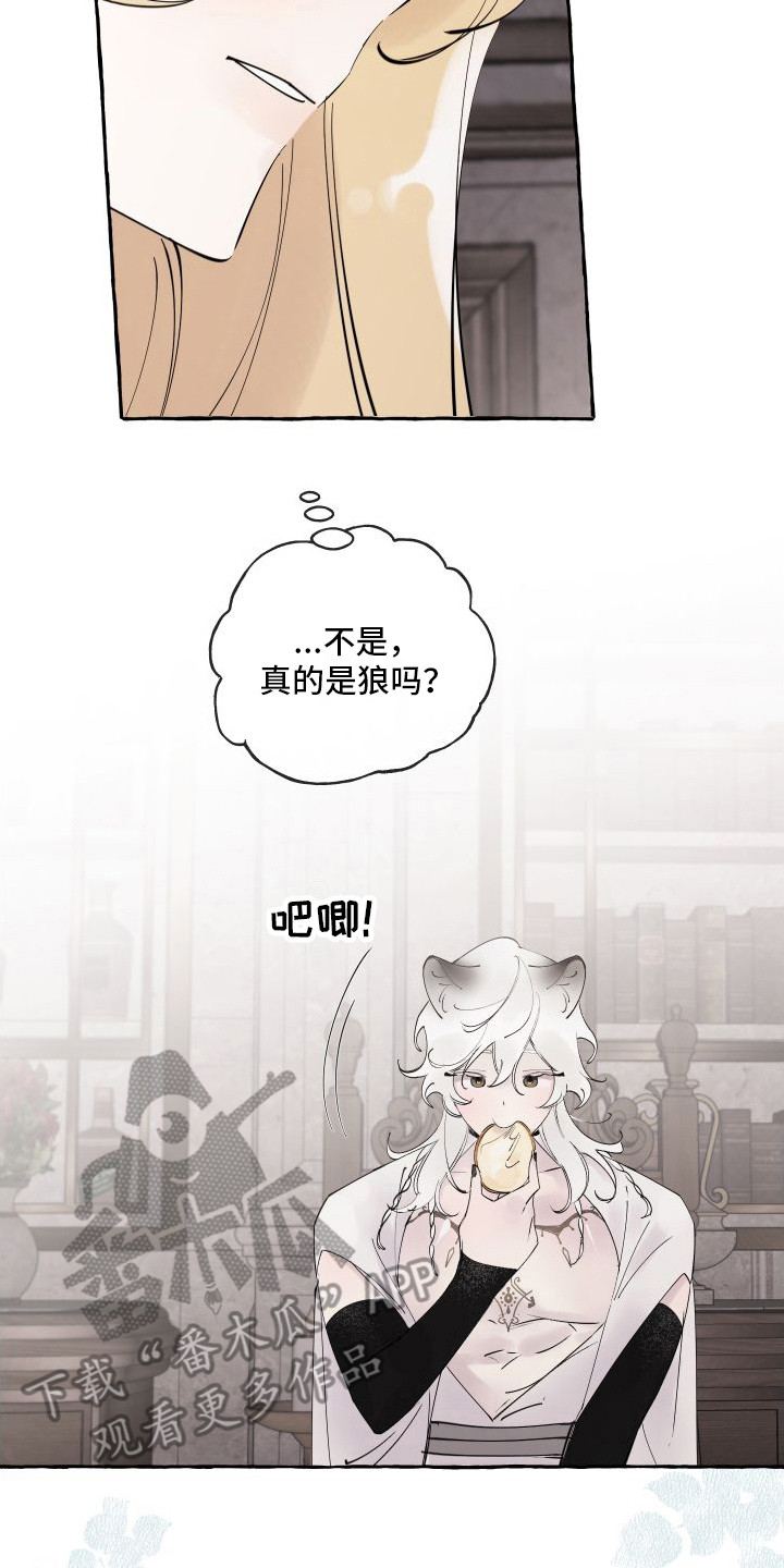 春与冬的边界漫画,第5章：窝棚2图