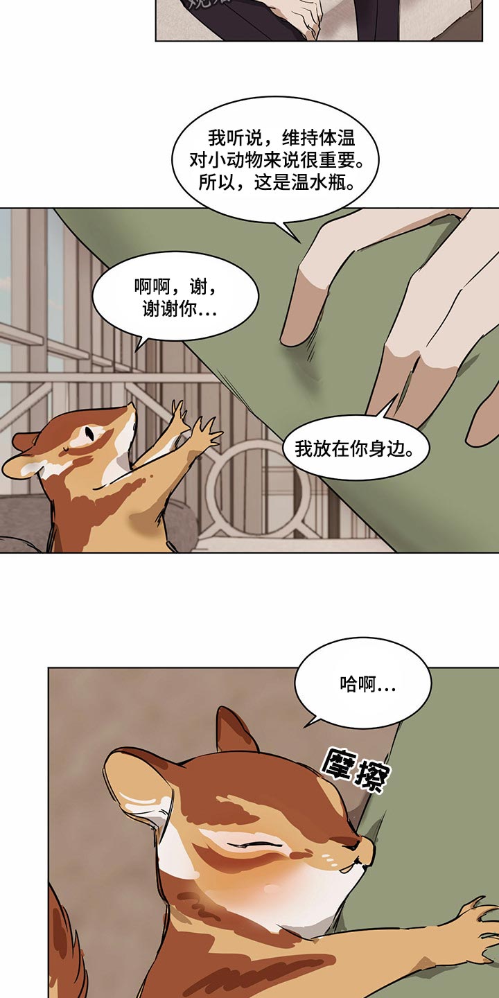 化蛇与夔龙在聚灵渊大战一场漫画,第71章：【特别篇】大尾巴2图