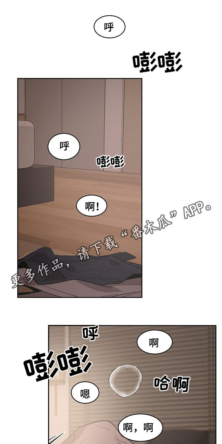 化蛇韩国漫画免费在线观看漫画,第142章：【第二季】闪闪发亮1图