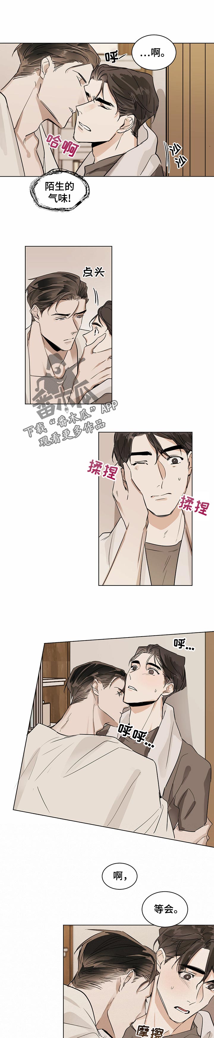 化蛇漫画下拉式全集免费观看漫画,第16章：松鼠？1图