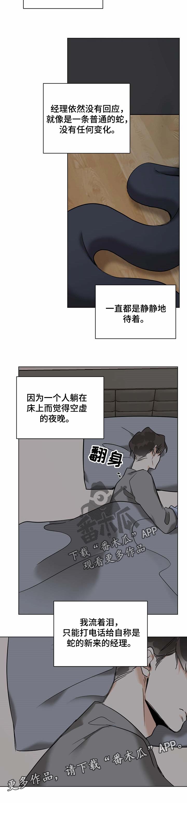 化蛇为龙是什么意思漫画,第48章：大问题2图