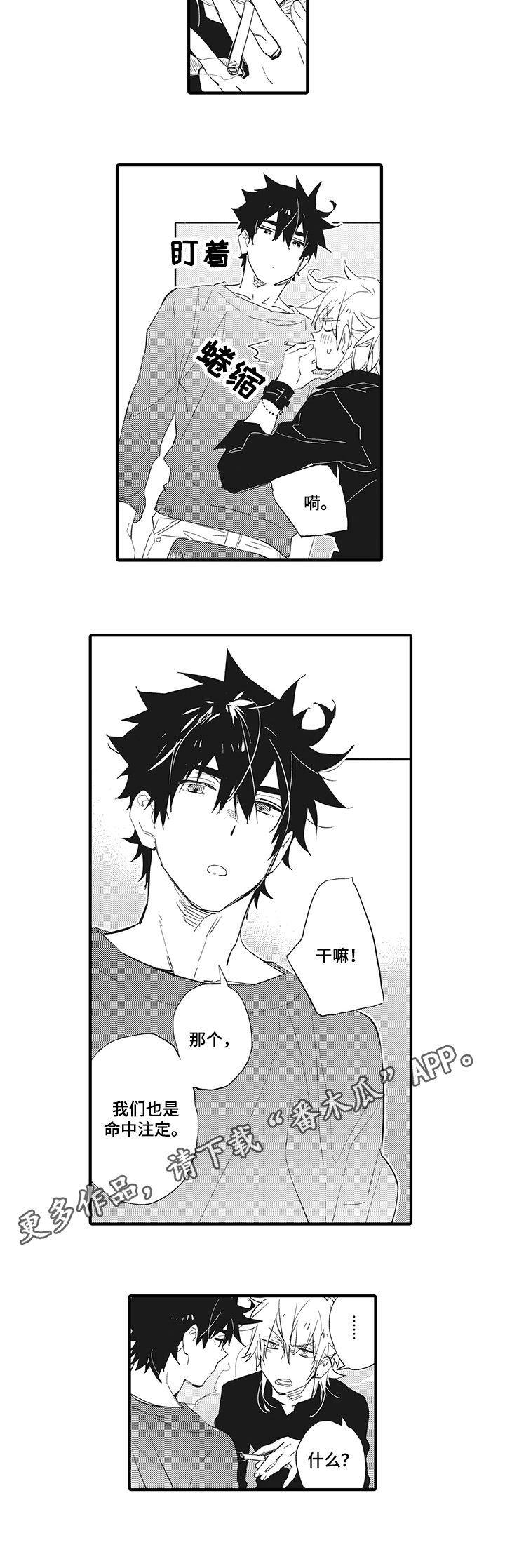 星星兔漫画,第17章：命中注定2图