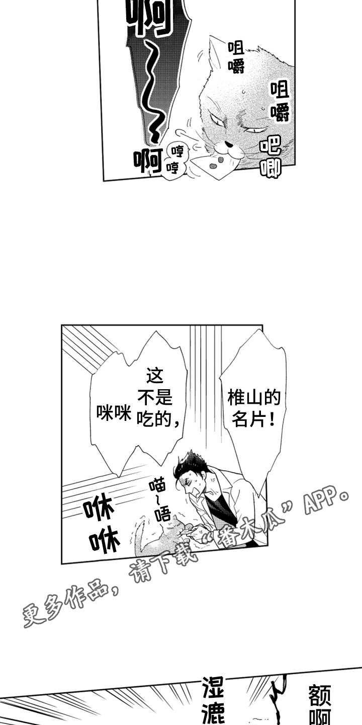 宝贝不要哭泣英文漫画,第6章：名片没了1图