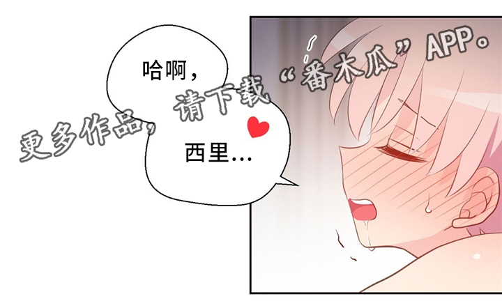 皇族影院app下载安装漫画,第114章：抱歉2图