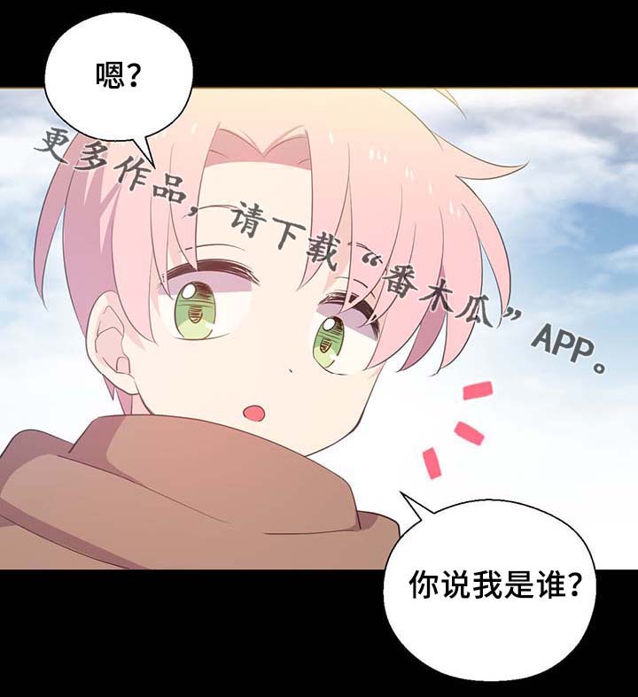 皇族海棠图片漫画,第90章：结束一切1图