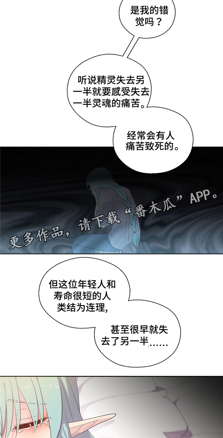 皇族守国门漫画,第54章：生病的精灵1图