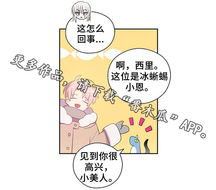 皇族诞下千年唯一女娃的小说漫画,第84章：都是因为他饿了1图