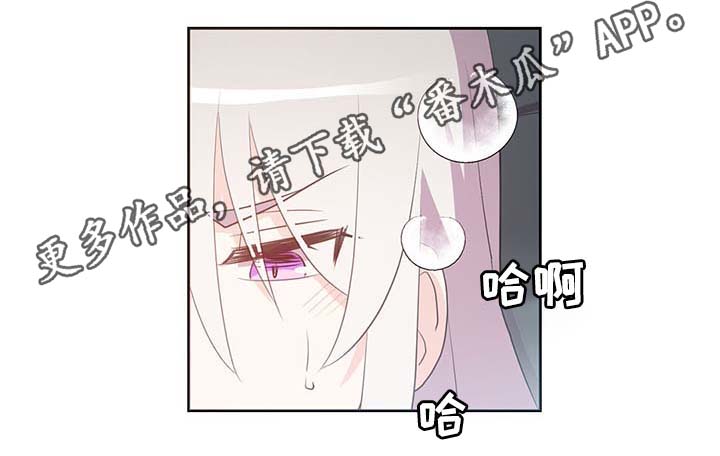 皇族护摩漫画,第110章：翻滚的回忆2图