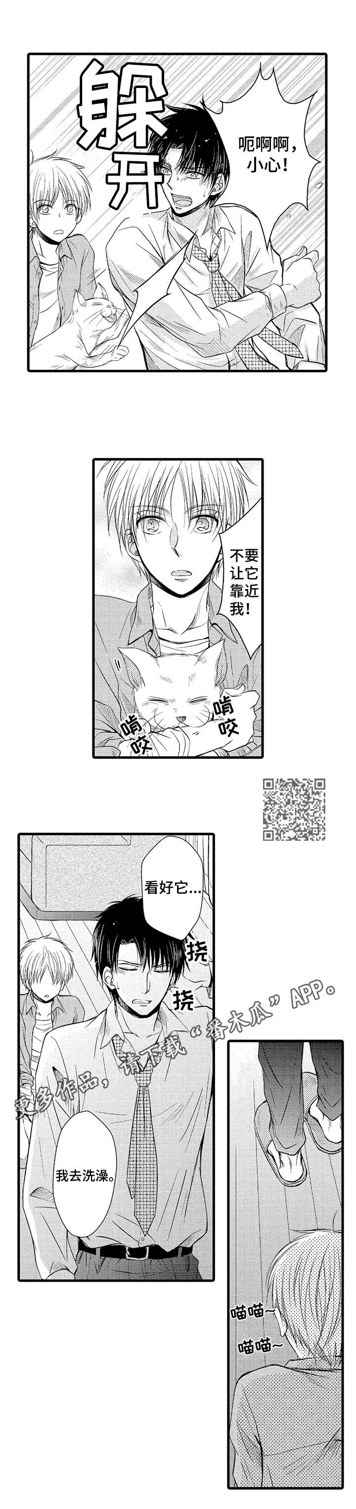 群租房安全隐患归哪个部门管漫画,第11章：失败了2图