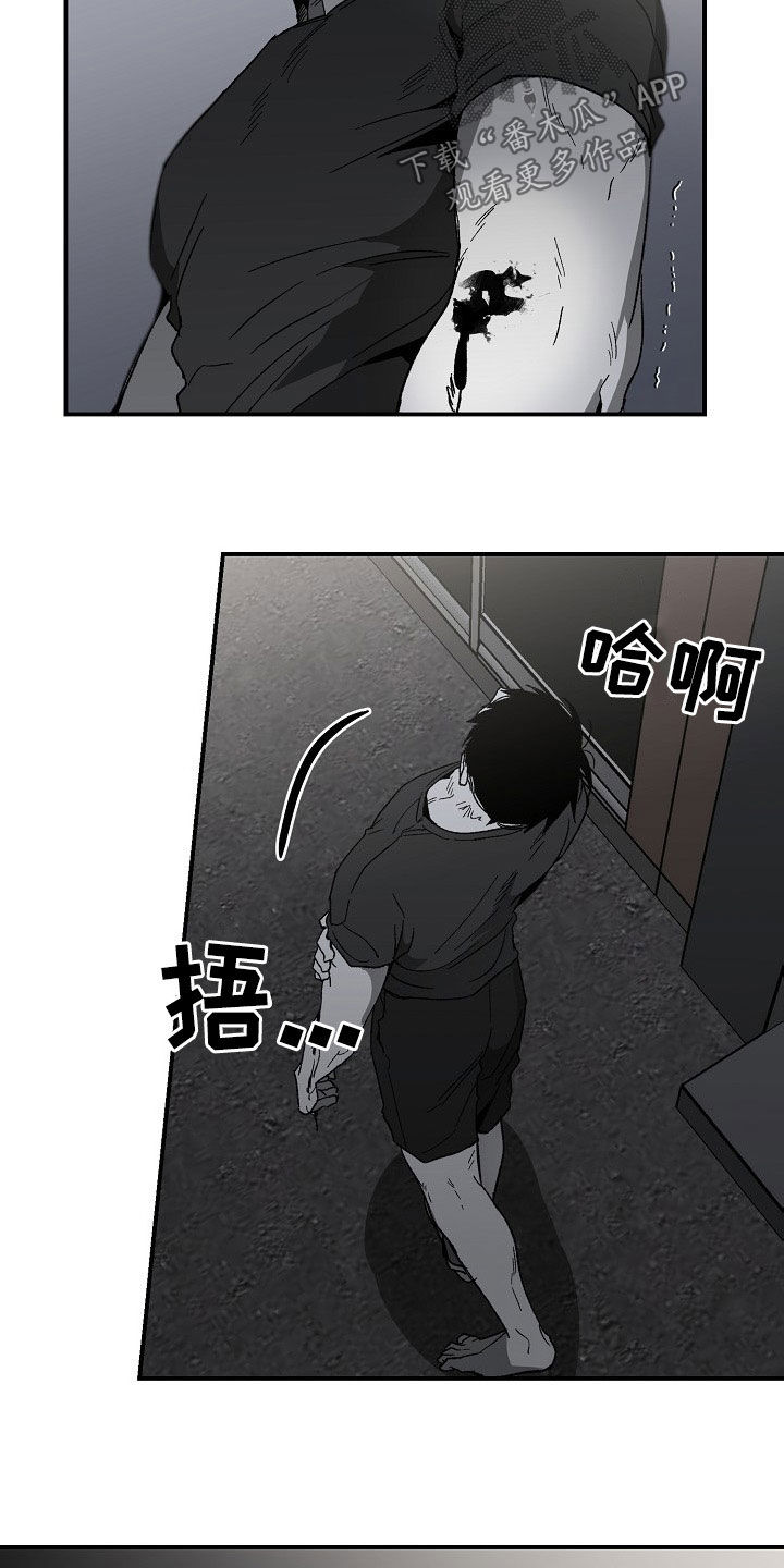 错位关系东哥苏玛丽笔趣阁结局漫画,第76章：罪魁祸首2图