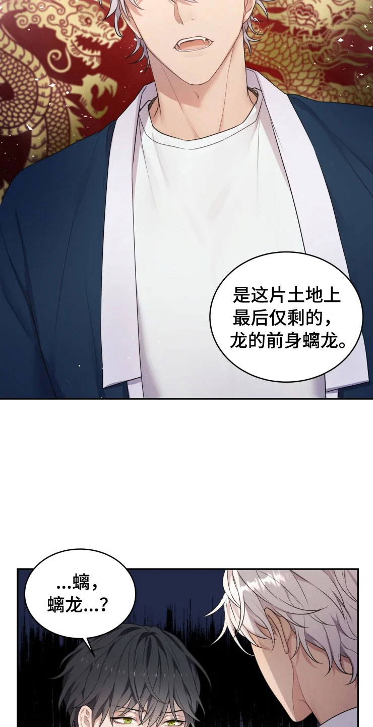 梦中游龙漫画下拉式免费阅读漫画,第2章：梦中的男人2图