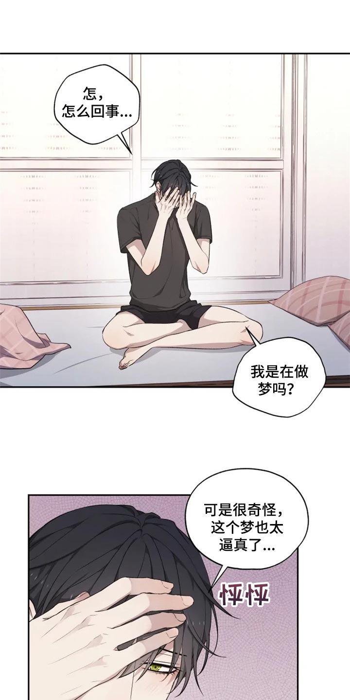 梦中有你漫画,第31章：箱子2图