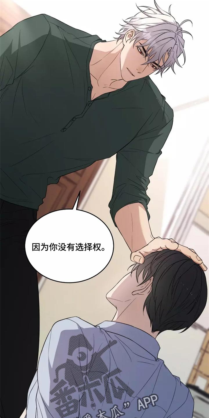 梦中游龙漫画下拉式免费阅读漫画,第38章：天差地别1图