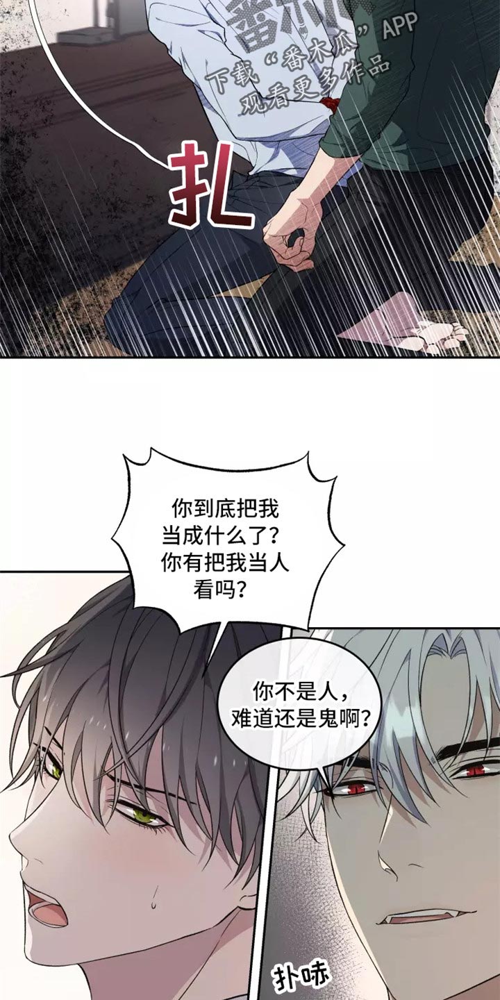 梦中翔龙漫画,第39章：不是梦2图