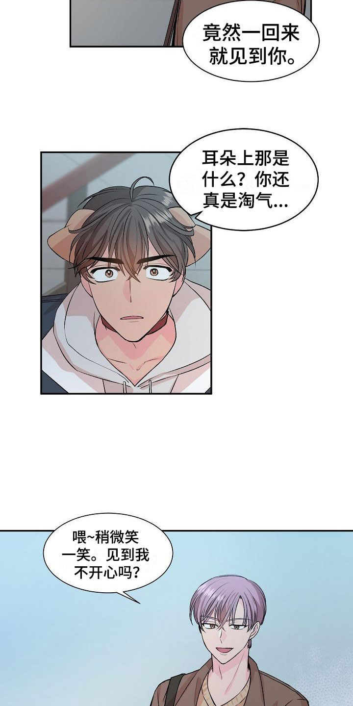 偷心花园漫画,第21章：我的狗男孩：失控2图