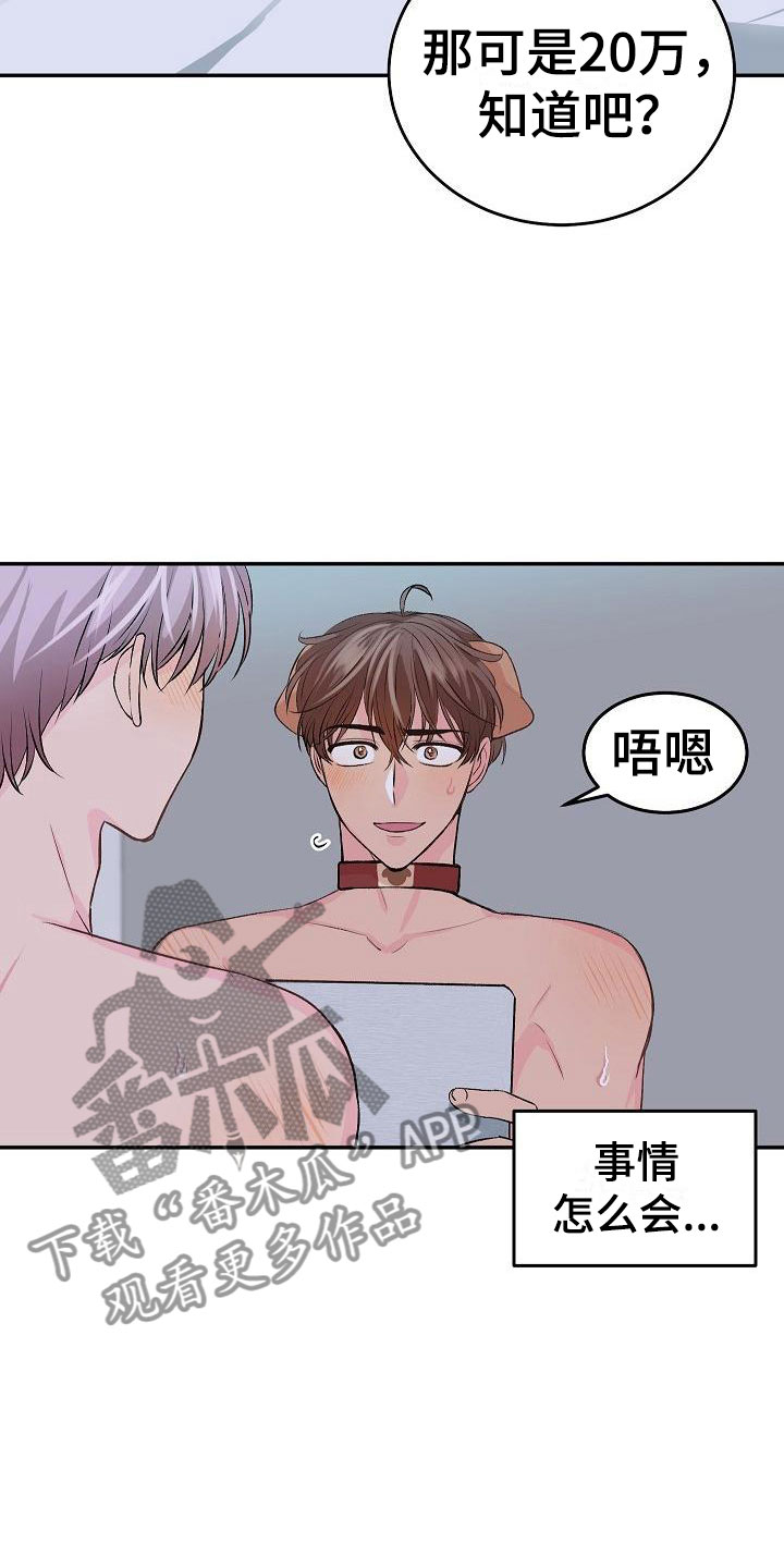 偷心花园漫画,第24章：我的狗男孩：冷漠1图