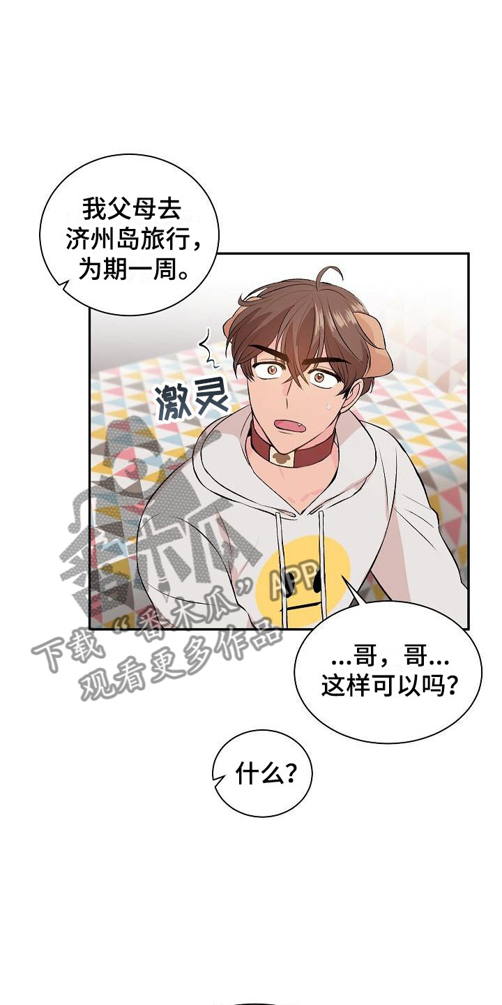 偷心花园漫画,第21章：我的狗男孩：失控2图