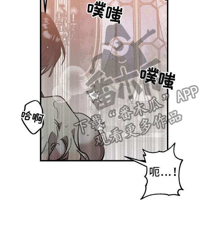 偷心者漫画,第9章：薰衣草花园：主人2图