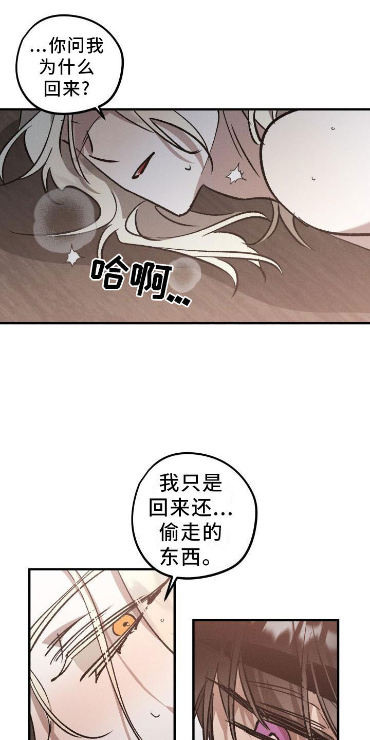 偷心者漫画,第9章：薰衣草花园：主人1图