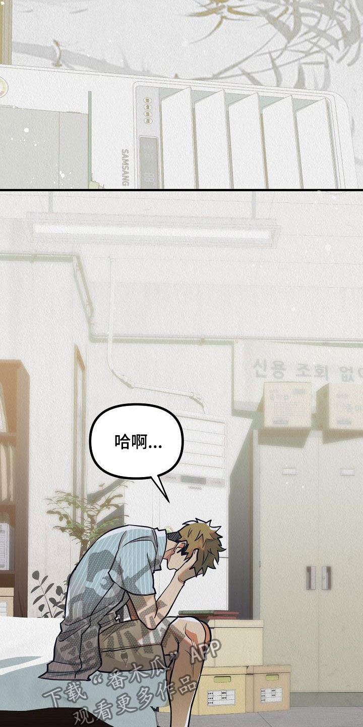 疯狂赏金漫画,第20章：他回来了（完结）1图