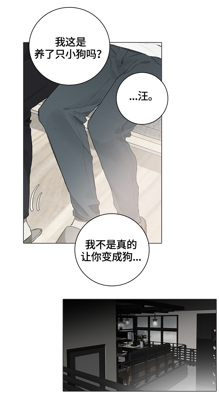 著名钢琴家漫画,第62章：代替1图