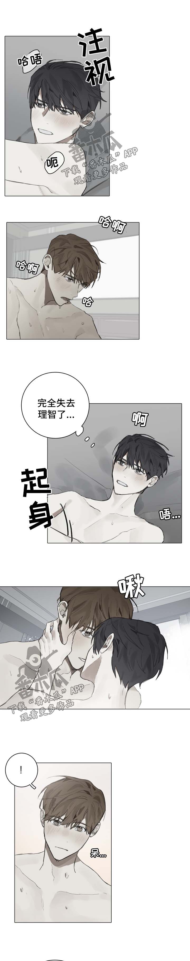 矛盾钢琴家漫画下拉漫画,第84章：重归日常1图