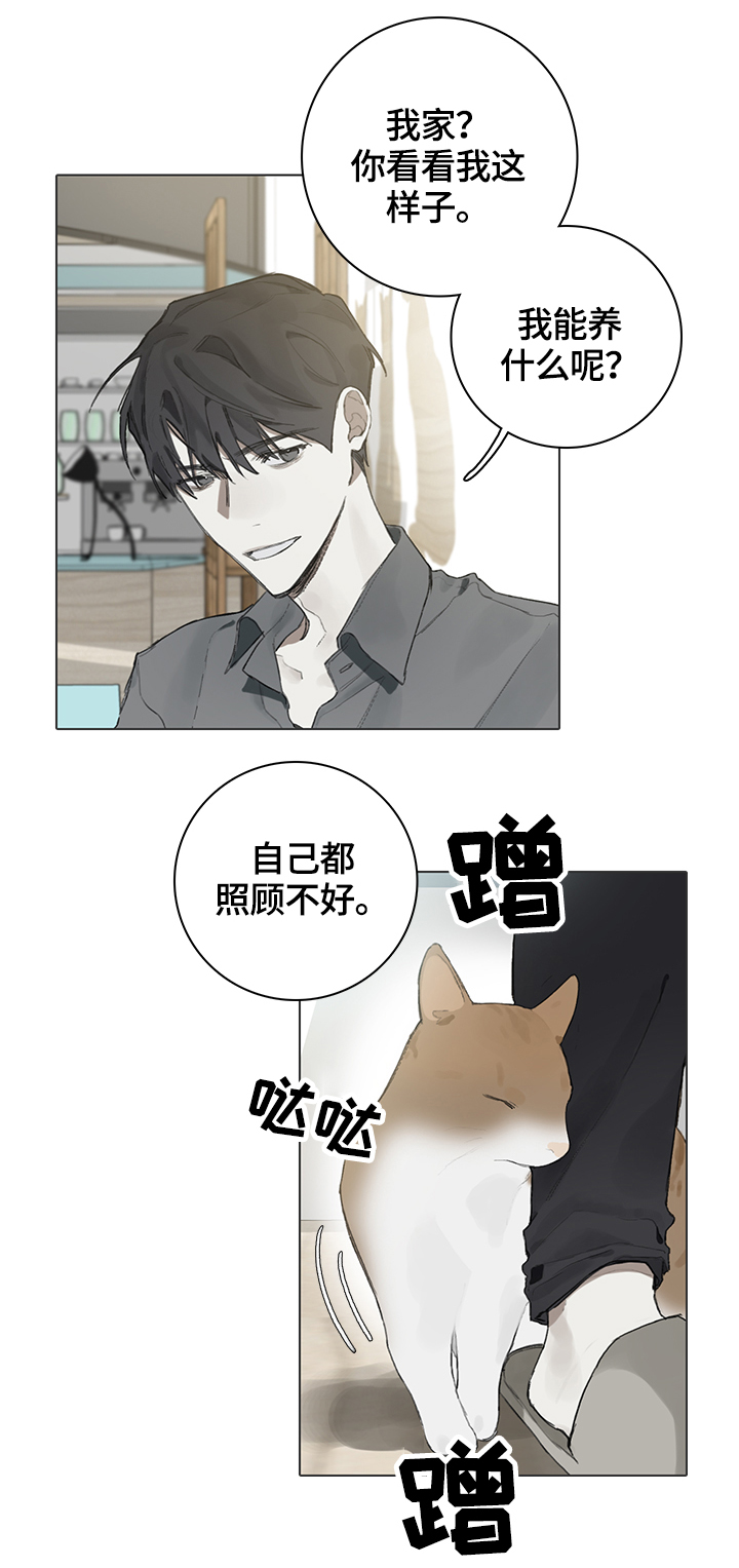 钢琴家有哪些漫画,第62章：代替1图