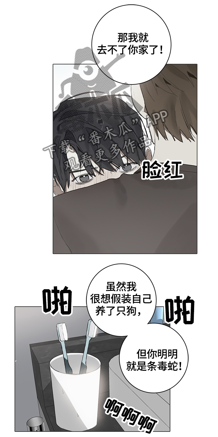 著名钢琴家漫画,第63章：目击2图